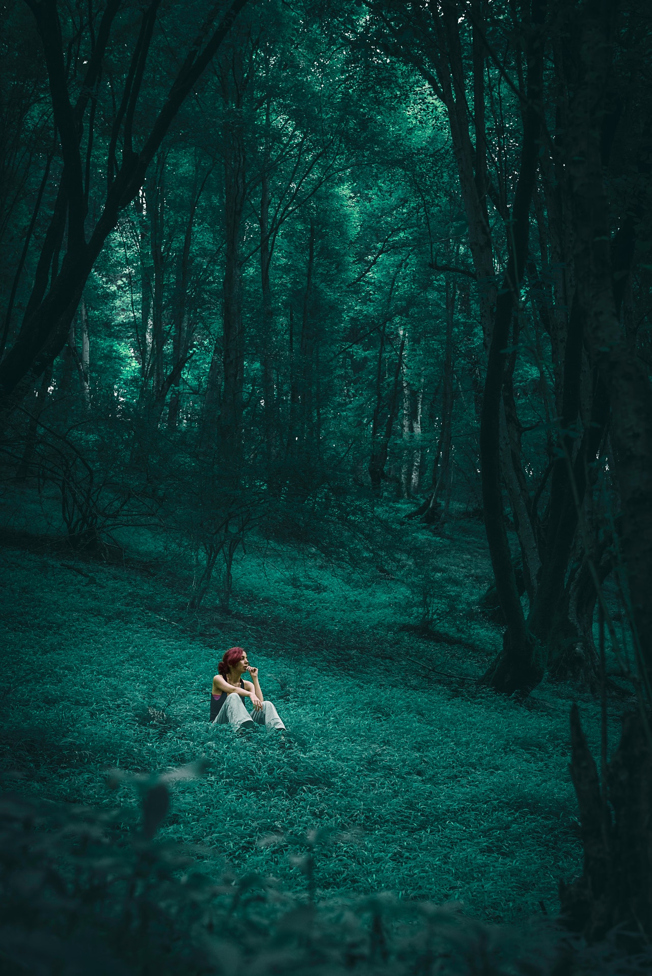 唯美中的绿色世界